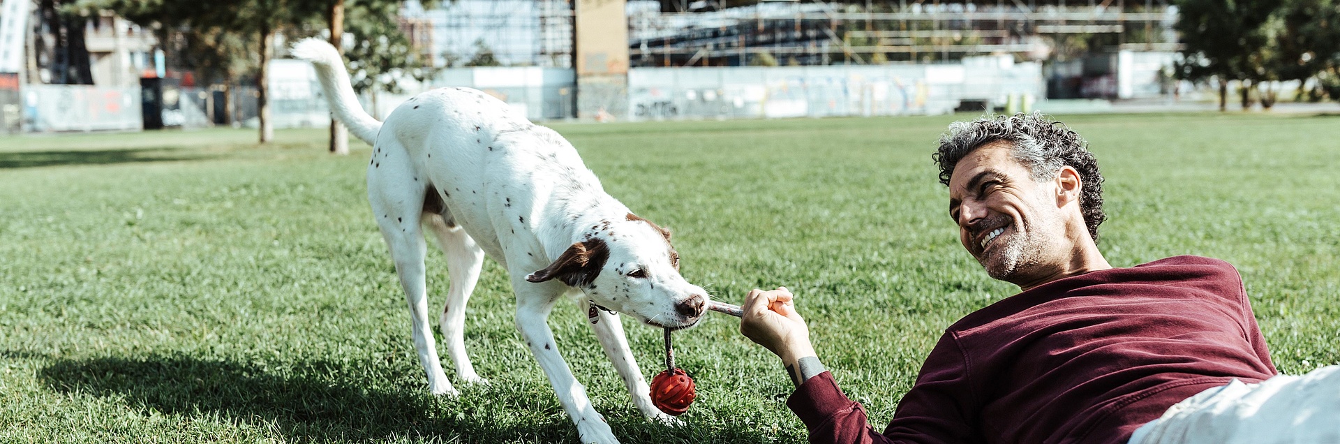 Mann und Hund beim Spielen im Park