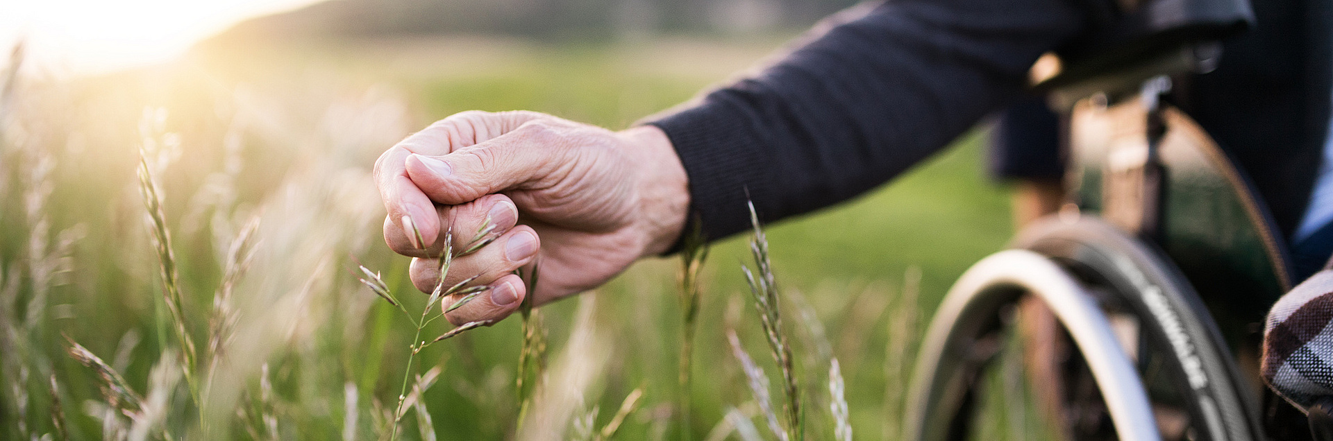 Rollstuhl auf grüner Wiese, Hand fährt durchs Gras