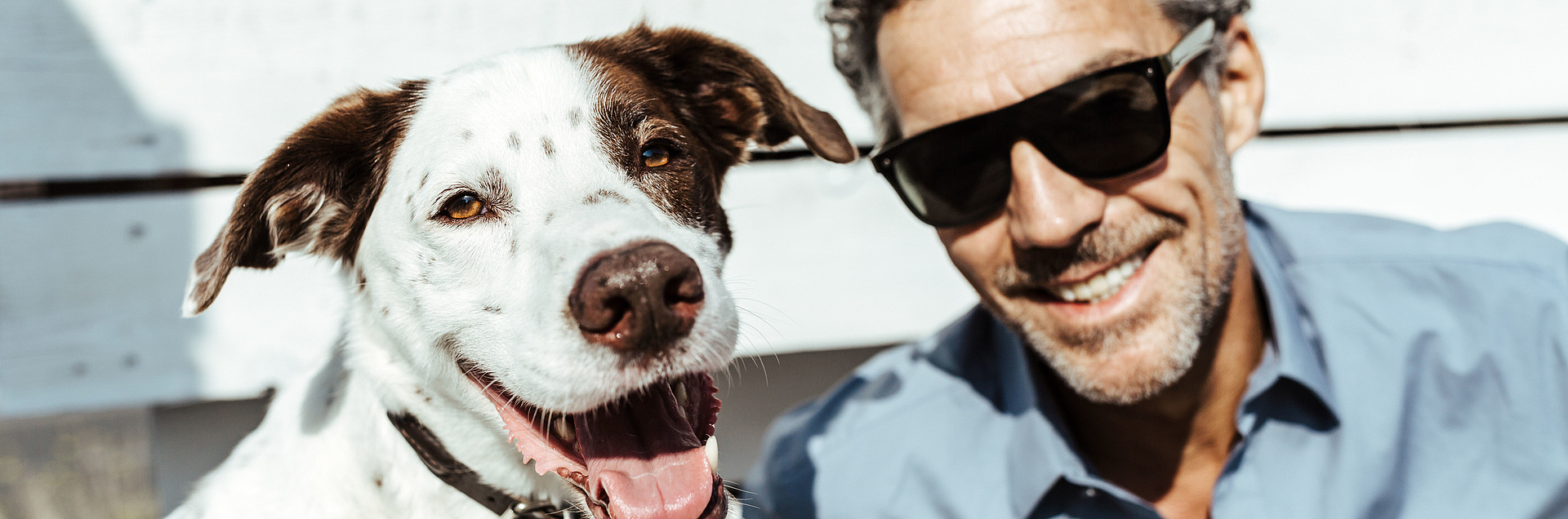 Hund und Herrchen lachend zeigen Zähne