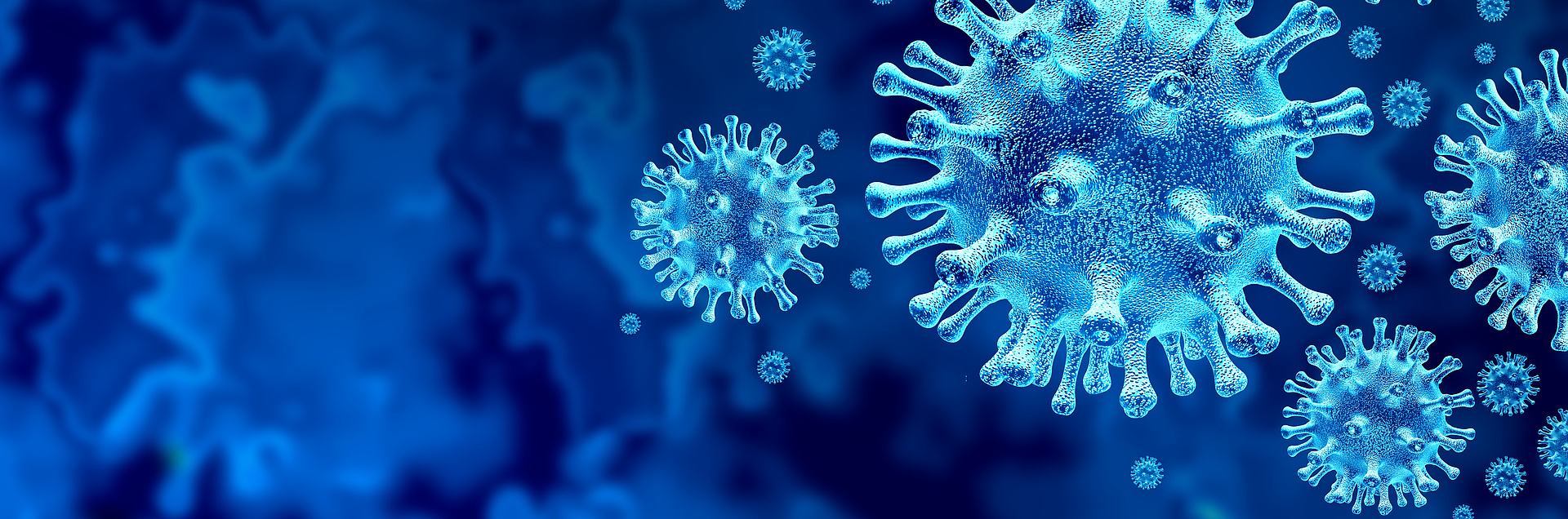 Corona: Coronaviren auf blauem Hintergrund
