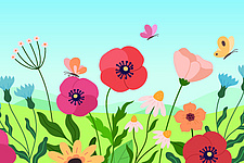Eine bunte Blumenwiese Eine bunte Blumenwiese
